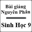 Bài giảng Nguyên phân Sinh học 9