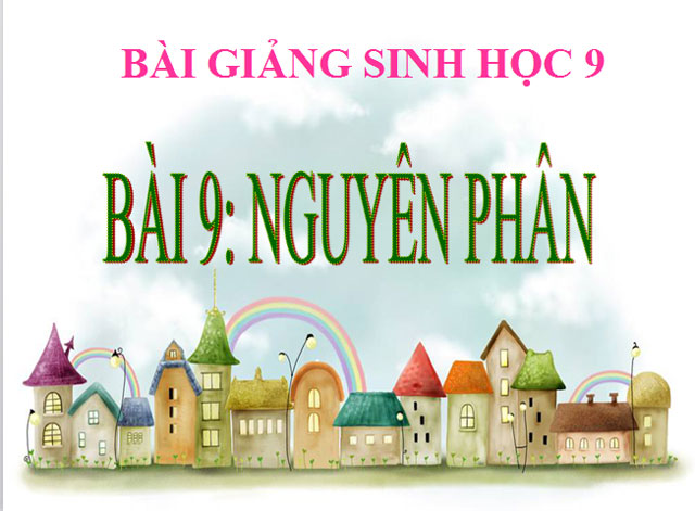 Nguy&ecirc;n ph&acirc;n Sinh học 9