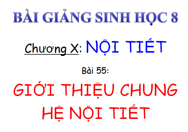 Bài giảng Giới thiệu chung hệ nội tiết Sinh học 8 Giới thiệu chung hệ nội tiết Sinh học 8