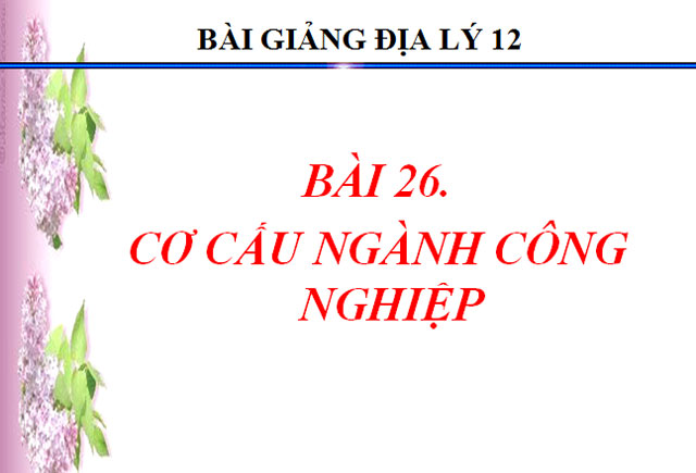  Cơ cấu ng&agrave;nh c&ocirc;ng nghiệp Địa l&yacute; 12