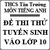 Đề thi thử tuyển sinh vào lớp 10 môn Tiếng Anh trường THCS Tân Trường, Hải Dương (lần 1)