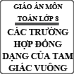 Giáo án Hình học 8 bài 8: Các trường hợp đồng dạng của tam giác vuông