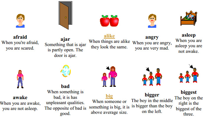 Từ điển Tiếng Anh bằng h&igrave;nh ảnh