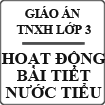 Giáo án điện tử bài Hoạt động bài tiết nước tiểu