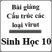 Bài giảng Bài 29 Sinh học 10