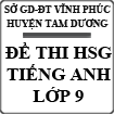 Đề thi học sinh giỏi môn Tiếng Anh lớp 9 vòng 1 huyện Tam Dương, Vĩnh Phúc năm 2014 - 2015