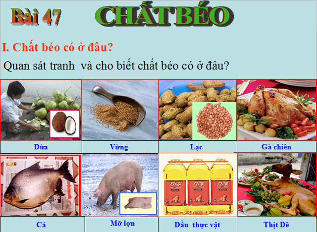 B&agrave;i giảng H&oacute;a học 9 