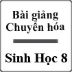 Bài giảng Chuyển hóa Sinh học 8