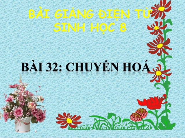  Chuyển h&oacute;a Sinh học 8