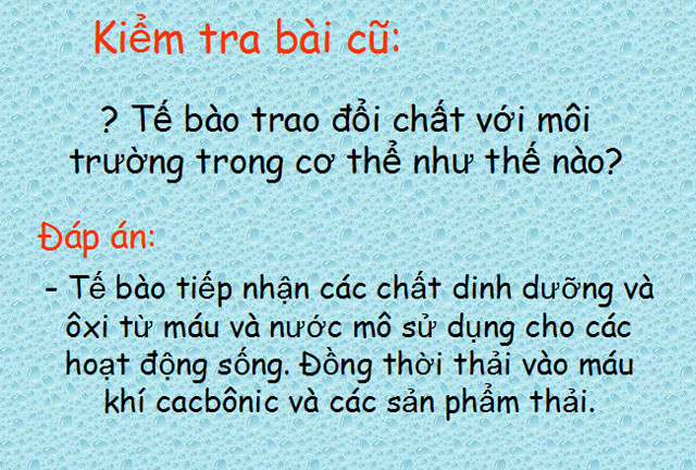 B&agrave;i giảng Sinh học 8