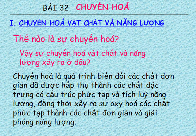  Chuyển h&oacute;a Sinh học 8