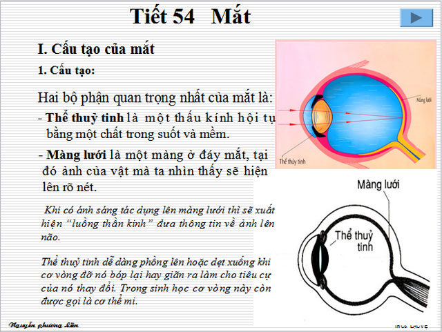 B&agrave;i giảng b&agrave;i Mắt 