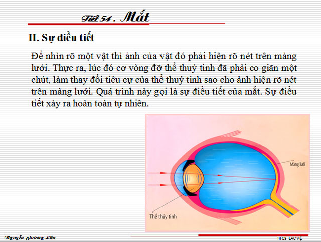 B&agrave;i giảng b&agrave;i Mắt 