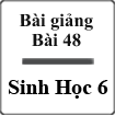 Bài giảng Sinh học 6 bài 48: Vai trò của thực vật và động vật đối với đời sống con người