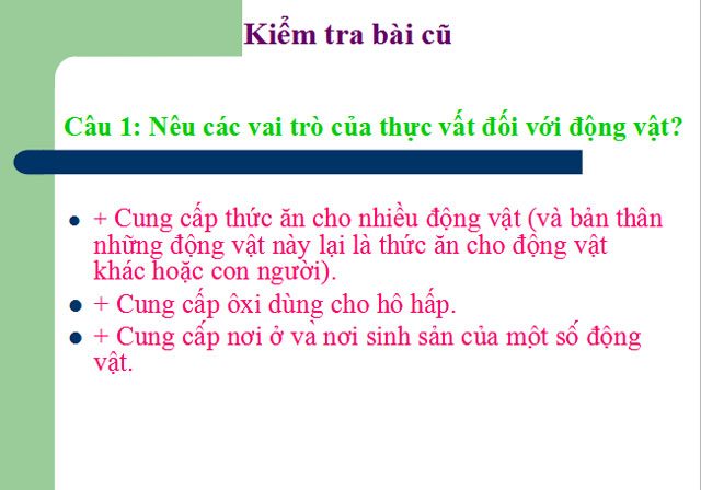 Bài giảng Sinh học 6