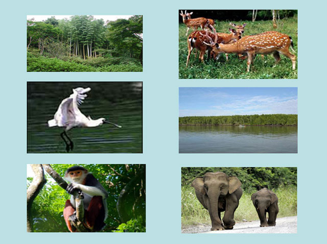  Địa lý 8 bài 38 