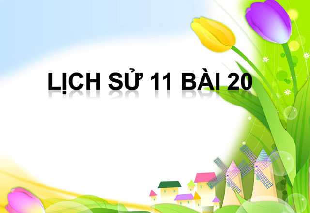 Lịch sử 11 bài 20 