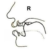 Sự khác nhau giữa giọng Anh Anh và Anh Mỹ