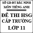 Đề thi học sinh giỏi cấp trường môn Tiếng Anh lớp 11 THPT Lý Thái Tổ, Bắc Ninh năm 2014