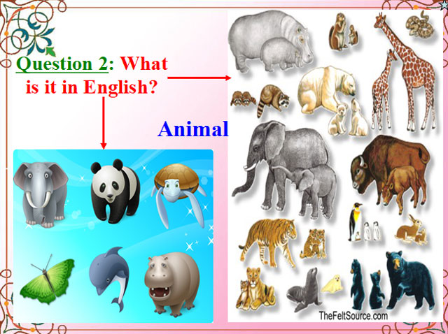 Bài giảng Tiếng Anh 10 unit 11 Tiếng Anh 10 unit 11