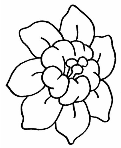 Coloring Pages for kids