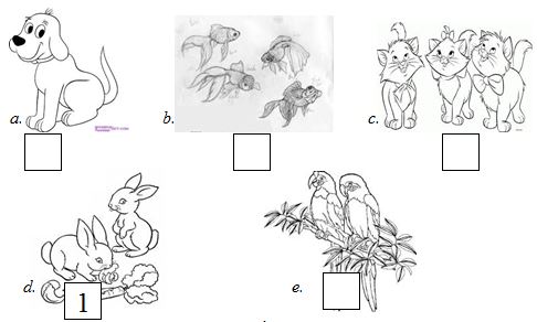 Đề kiểm tra Tiếng Anh lớp 3