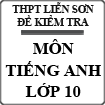 Đề kiểm tra định kì môn Tiếng Anh lớp 10 trường THPT Liễn Sơn, Vĩnh Phúc