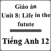 Giáo án Tiếng Anh 12 Unit 8