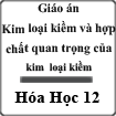 Giáo án Kim loại kiềm và hợp chất quan trọng của kim loại kiềm Hóa Học 12