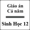 Giáo án Sinh Học 12 cả năm