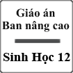 Giáo án Sinh học 12 nâng cao
