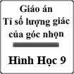 Giáo án Hình học 9 Bài 2: Tỉ số lượng giác của góc nhọn