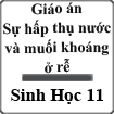 Giáo án Sinh học 11 Bài 1: Sự hấp thụ nước và muối khoáng ở rễ