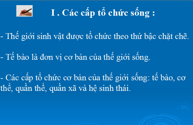 Các cấp tổ chức của thế giới sống