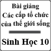 Bài giảng Sinh học 10 bài 1: Các cấp tổ chức của thế giới sống