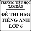Đề thi khảo sát học sinh giỏi môn Tiếng Anh lớp 6 trường THCS Tam Đảo
