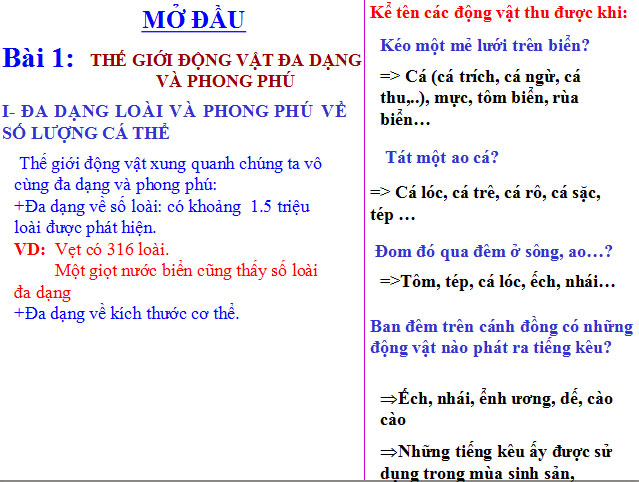 Thế giới động vật đa dạng, phong phú