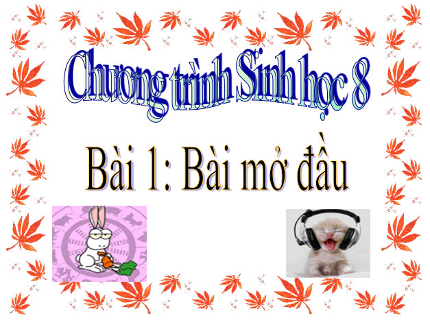  bài 1: Bài mở đầu