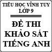Đề khảo sát chất lượng đầu năm môn Tiếng Anh lớp 9 trường THCS Vĩnh Tuy năm 2013 - 2014