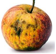 Bài nghe tiếng Anh