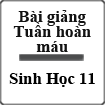 Bài giảng Tuần hoàn máu Sinh học 11