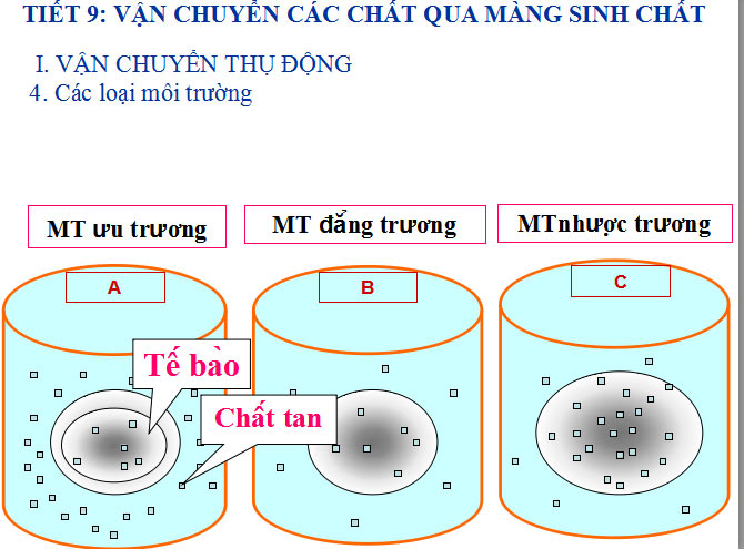 Vận chuyển thụ động Vận chuyển thụ động