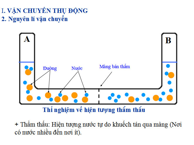 Nguyên lí vận chuyển Nguyên lí vận chuyển