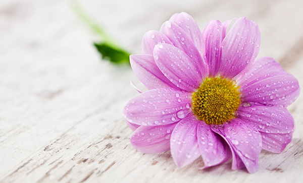 70 từ đẹp nhất trong Tiếng Anh từ vựng Tiếng Anh