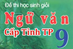Đề thi học sinh giỏi môn Ngữ văn lớp 9 huyện Nam Đồng