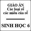 Giáo án Sinh học 6 bài Các loại rễ các miền của rễ