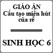 Giáo án Sinh học 6 bài Cấu tạo miền hút của rễ