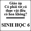 Giáo án Sinh học 6 bài Có phải tất cả thực vật đều có hoa không?