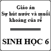 Giáo án Sinh học 6 bài Sự hút nước và muối khoáng của rễ