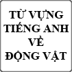 Từ vựng về các loài động vật trong tiếng Anh